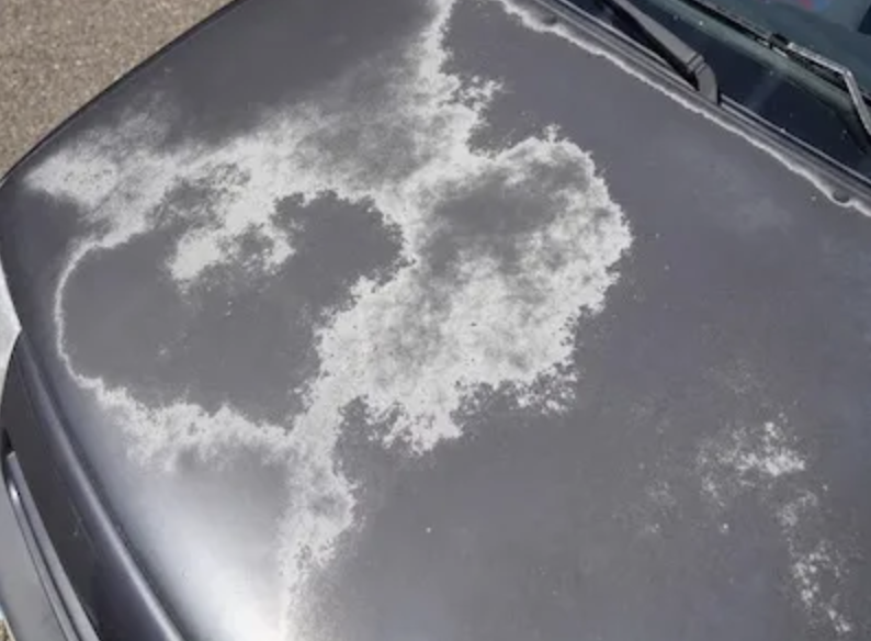 Solution This Business For Marketing Blog